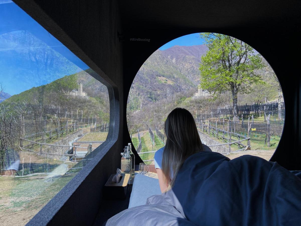 Birdbox Curzutt Hotel Monte Carasso Bagian luar foto