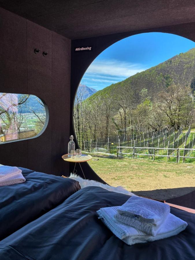 Birdbox Curzutt Hotel Monte Carasso Bagian luar foto