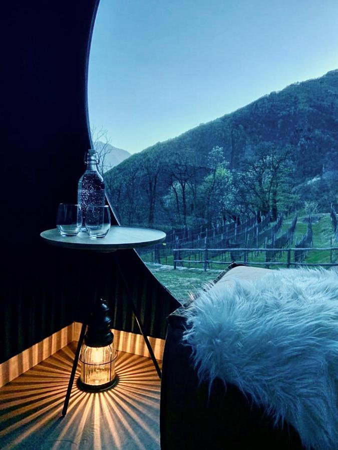 Birdbox Curzutt Hotel Monte Carasso Bagian luar foto