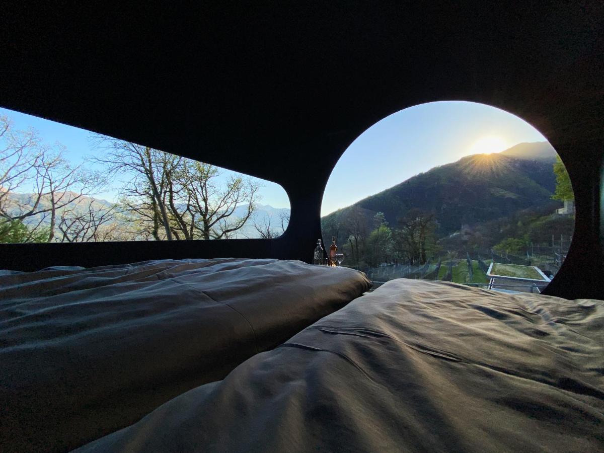 Birdbox Curzutt Hotel Monte Carasso Bagian luar foto