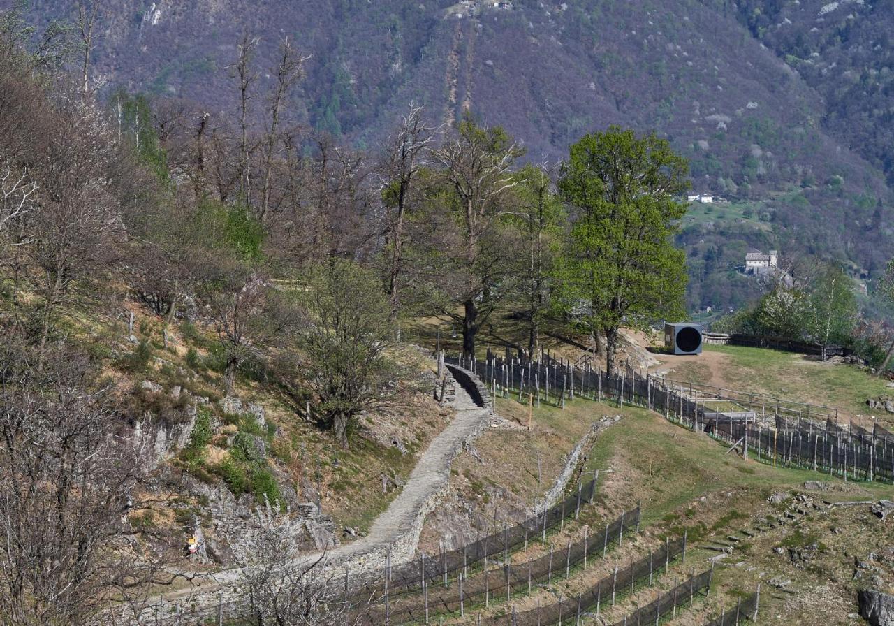 Birdbox Curzutt Hotel Monte Carasso Bagian luar foto