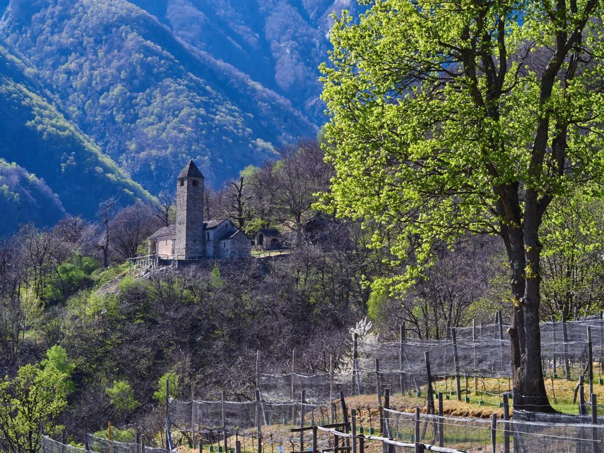 Birdbox Curzutt Hotel Monte Carasso Bagian luar foto