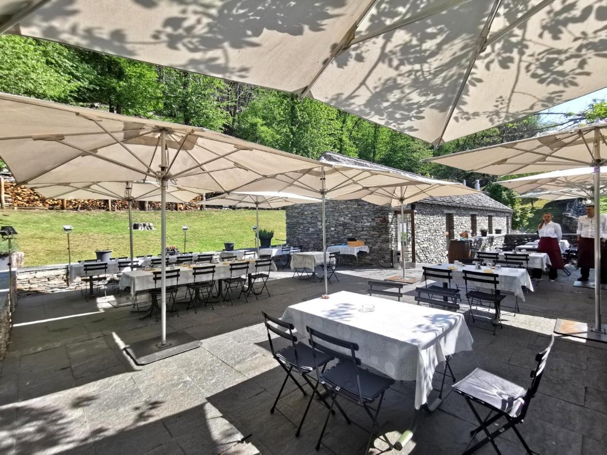 Birdbox Curzutt Hotel Monte Carasso Bagian luar foto